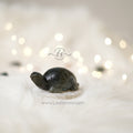 Labradorite Crystal Tortoise – Protection & Positivity