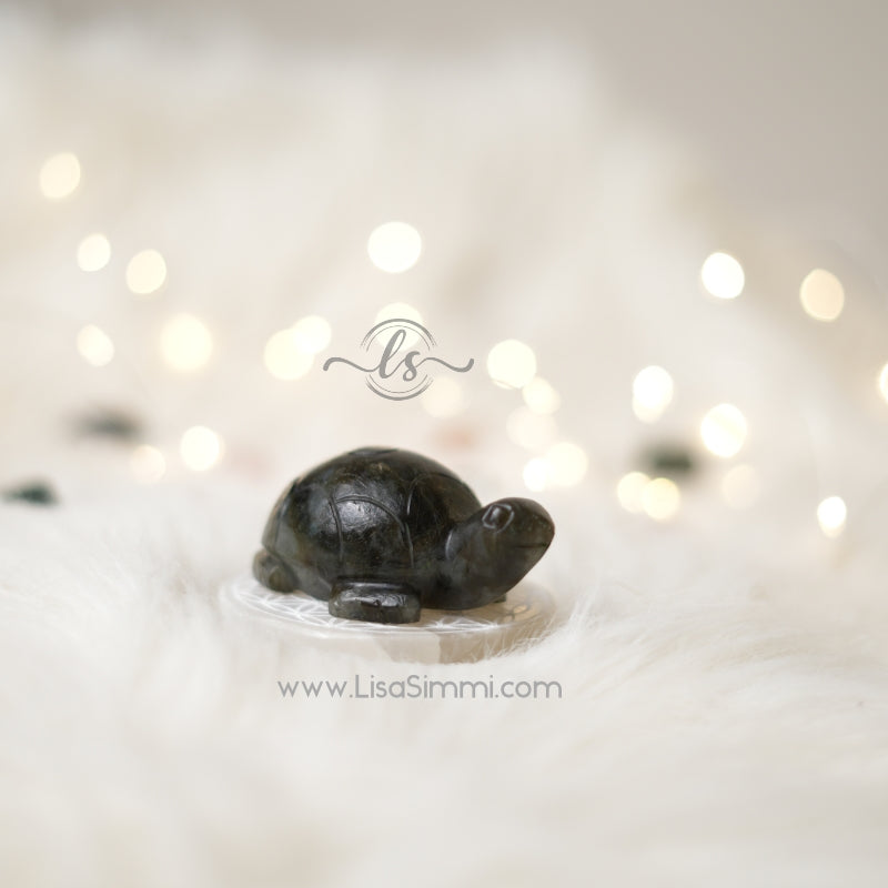 Labradorite Crystal Tortoise – Protection & Positivity – View 2