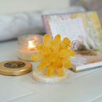 Citrine Cluster with Pointer – View 5