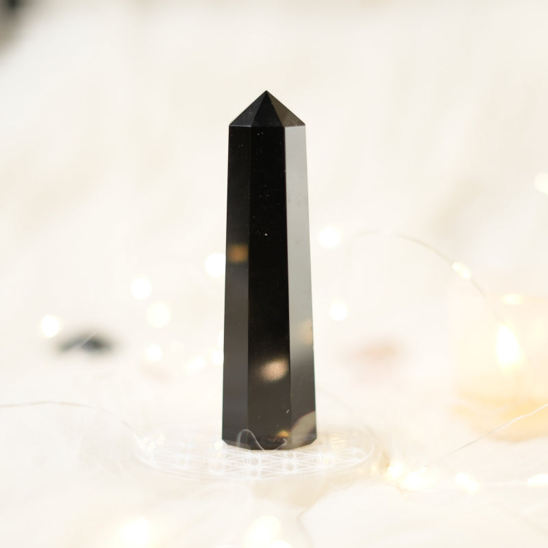 Black Tourmaline Pointer