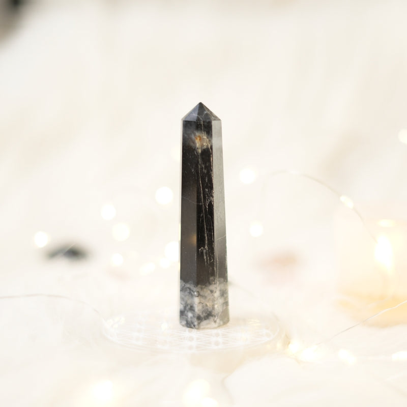 Black Tourmaline Pointer – View 2