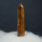 Tiger Eye Pointer – View 2