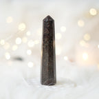 Garnet Pointer – View 2