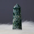 Tree Agate Pointer